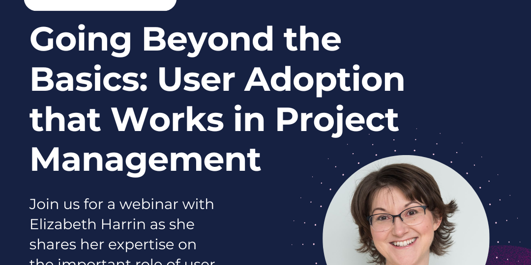 Planisware webinar – Going Beyond the Basics: User Adoption that Works in Project Management with Elizabeth Harrin